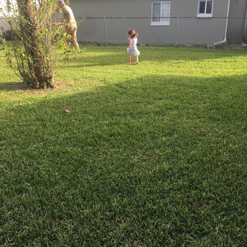 Meet your Posher, Dawn